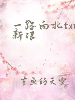 一路向北txt新浪