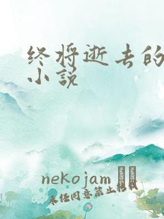 终将逝去的青春小说