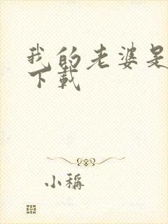 我的老婆是卧底下载