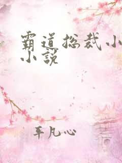 霸道总裁小娇妻小说