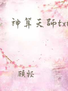 神算天师txt