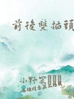 前后双插头互攻