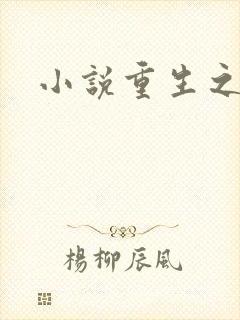 小说重生之官道