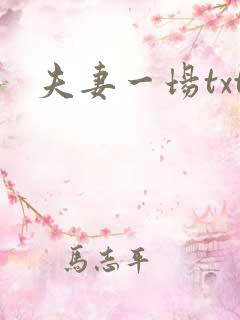 夫妻一场txt