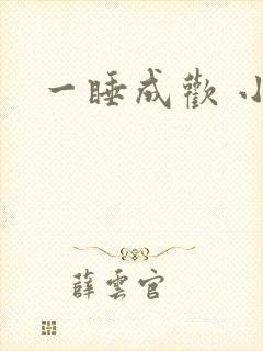 一睡成欢 小说