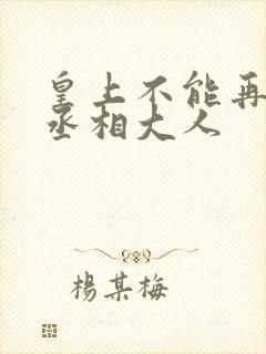 皇上不能再进了丞相大人