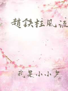 赵铁柱风流小说
