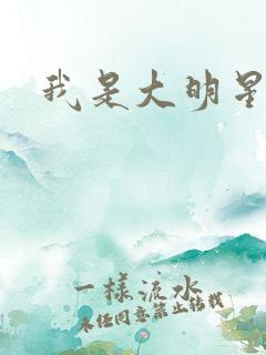 我是大明星周天