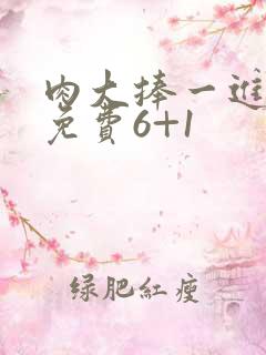 肉大捧一进一出免费6+1