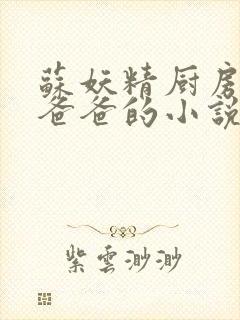 苏妖精厨房爹爹爸爸的小说