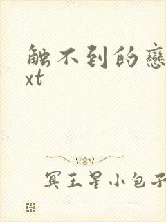 触不到的恋人txt