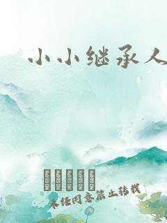 小小继承人