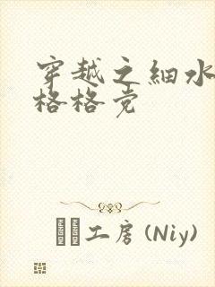穿越之细水长流格格党