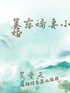 暴露娇妻小月新婚