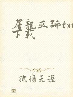 屠龙巫师txt下载