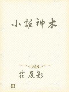 小说神木