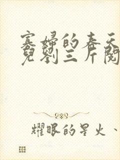 寡妇的春天白花儿刘三斤阅读