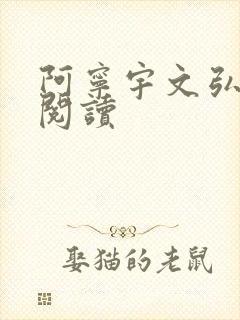 阿宁宇文弘免费阅读