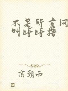 不是所有网站都叫暗暗撸