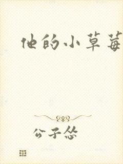 他的小草莓