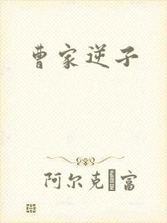 曹家逆子