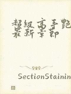 超级高手艳遇记最新章节