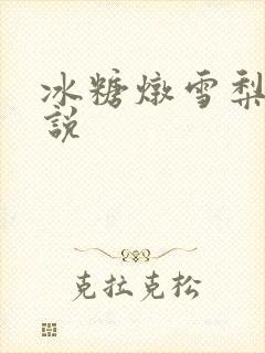 冰糖炖雪梨 小说