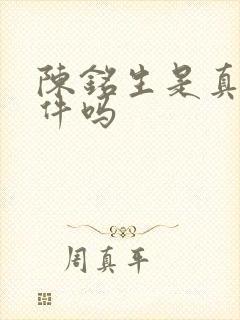 陈铭生是真实事件吗