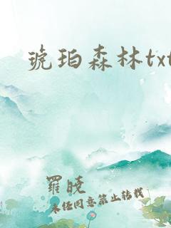 琥珀森林txt