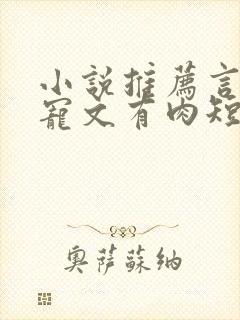 小说推荐言情甜宠文有肉短篇完结