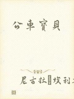 公车宝贝