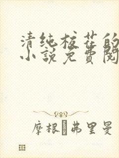 清纯校花的秘密小说免费阅读全文