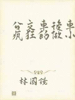 公交车后车座的疯狂的做小