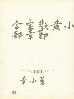 合家欢黄小梅全部章节