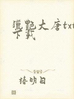 猎艳大唐txt下载