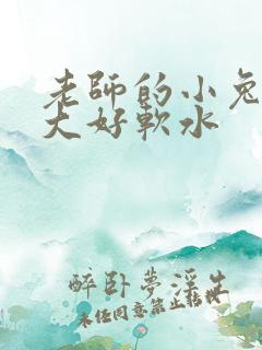 老师的小兔子好大好软水