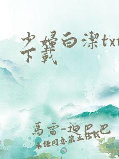 少妇白洁txt下载