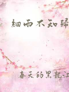 细雨不知归