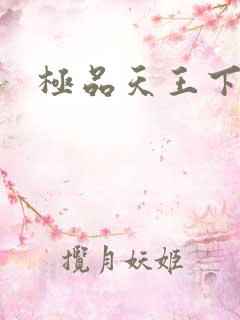 极品天王下载