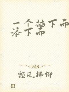 一个插下面一个添下面