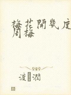 梅花开几度老张周梅