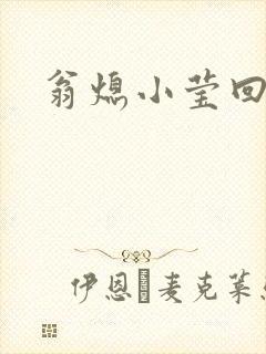 翁熄小莹回乡下