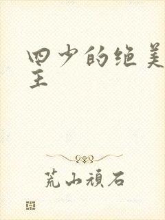 四少的绝美宠公主