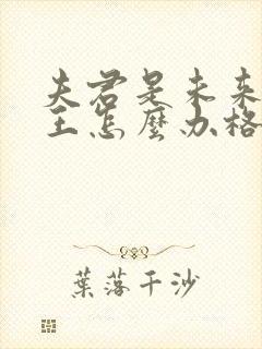 夫君是未来大魔王怎么办格格党