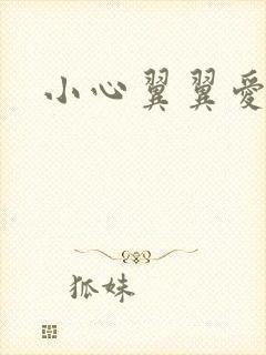 小心翼翼爱上你