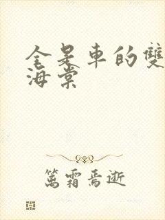 全是车的双男主海棠