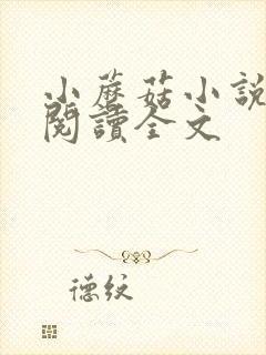 小蘑菇小说免费阅读全文