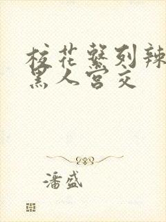 校花系列辣h文黑人宫交