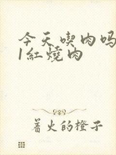 今天吃肉吗1V1红烧肉