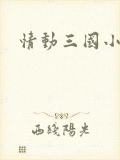 情动三国小说